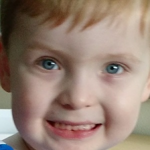 Team Page: Team Doodle